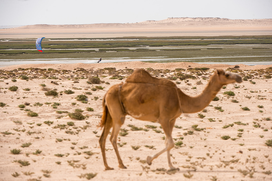 DSC1166 - The Making of Sarduakar: الصحراء