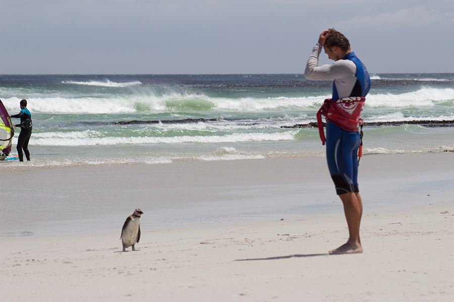 IMG 3740 - Five reasons every kitesurfer should ride in Cape Town