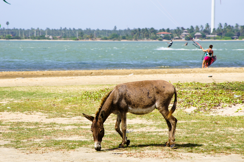 picture5 - Sri Lanka Times