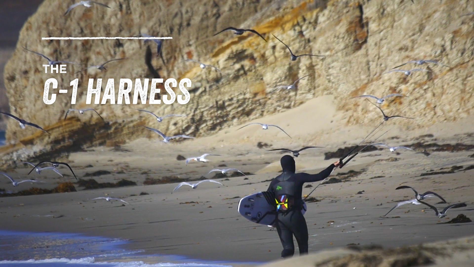 all new dakine c 1 harness unlea - All new Dakine C-1 Harness unleashed