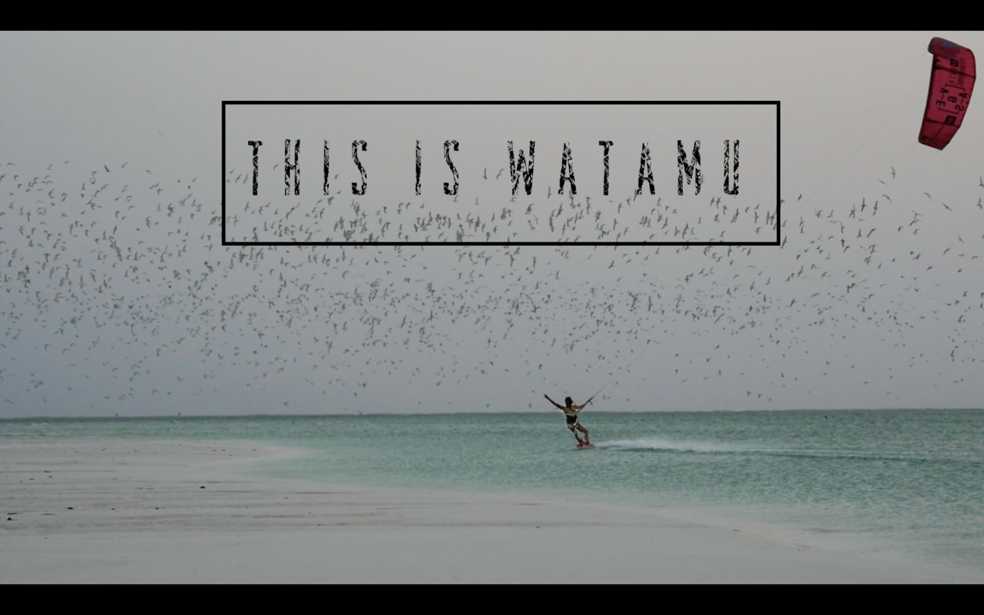 this is watamu scaled - This is Watamu