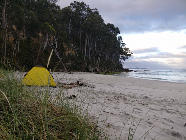 16129909 10154222218867286 569032618 o - Danny Morrice in Tasmania