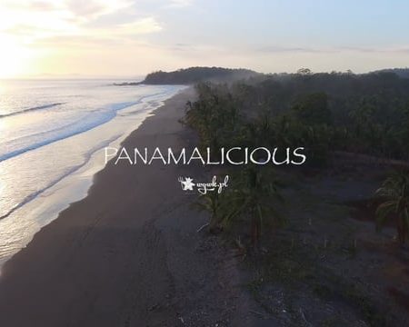 panamalicious 450x360 - Panamalicious