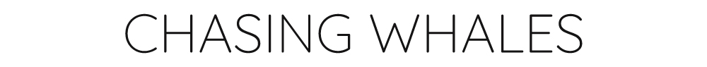 CHASING WHALES TITLE - THEKITEMAG ISSUE #24