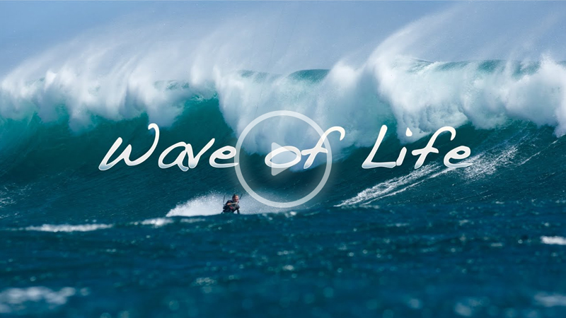 wave of life - WAVE OF LIFE