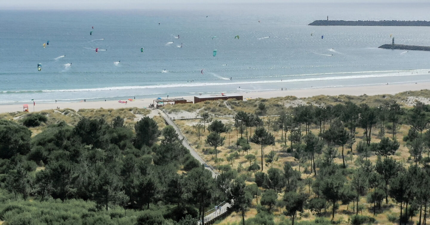 TheKiteMag Feelviana 5 1440x754 - FeelViana