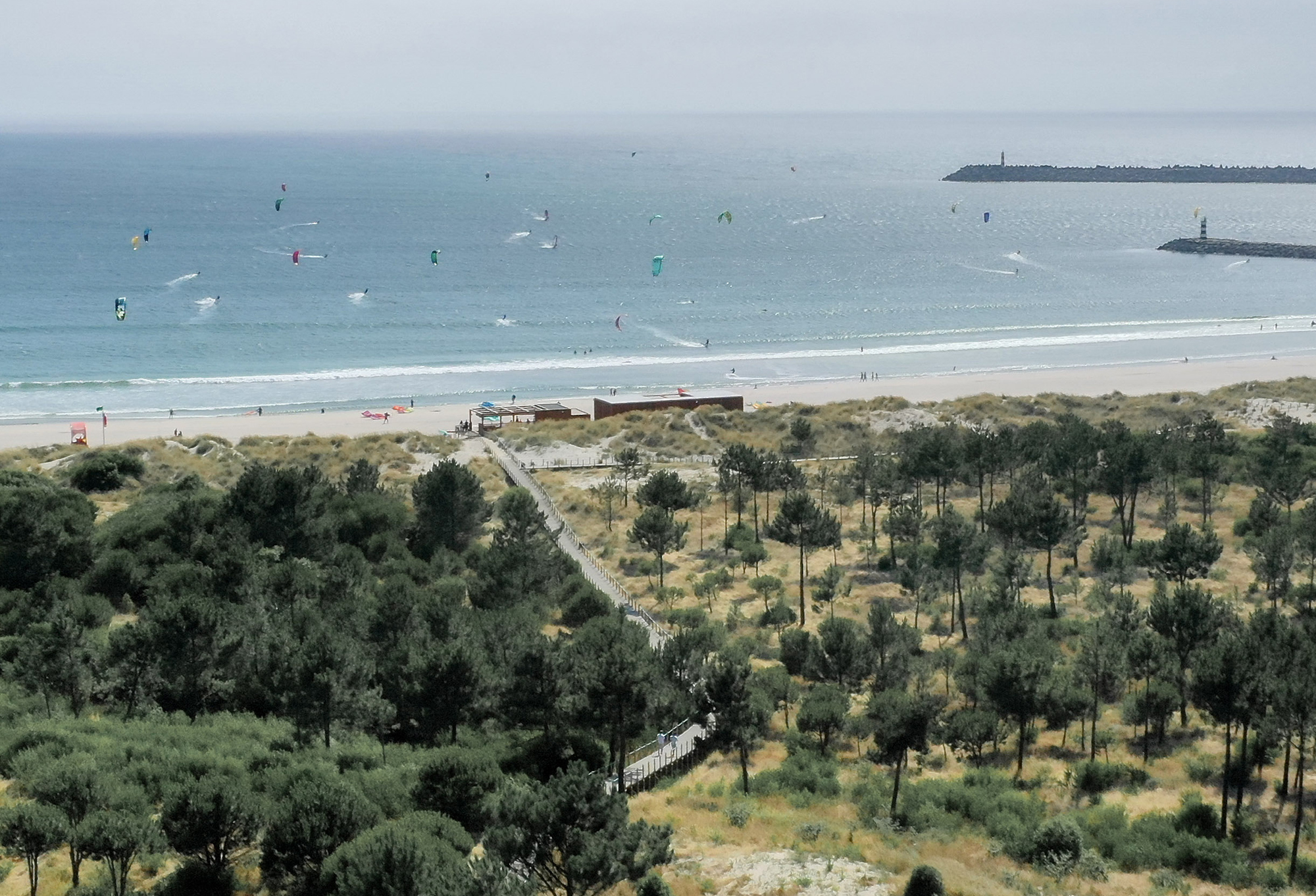 TheKiteMag Feelviana 5 - FeelViana