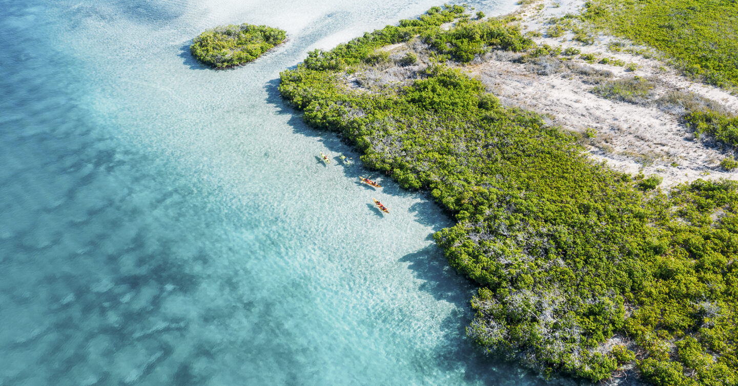 ecotours adventures copy 1440x754 - Big Blue Collective - Turks & Caicos Islands