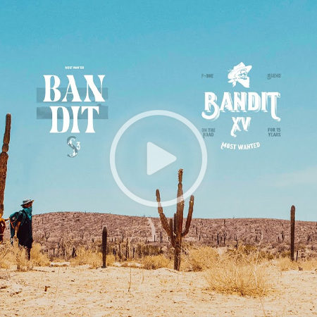 BanditAni 450x450 - Bandit's 15th anniversary