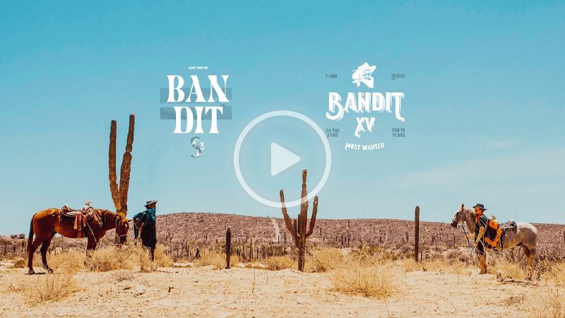 BanditAni - Bandit's 15th anniversary