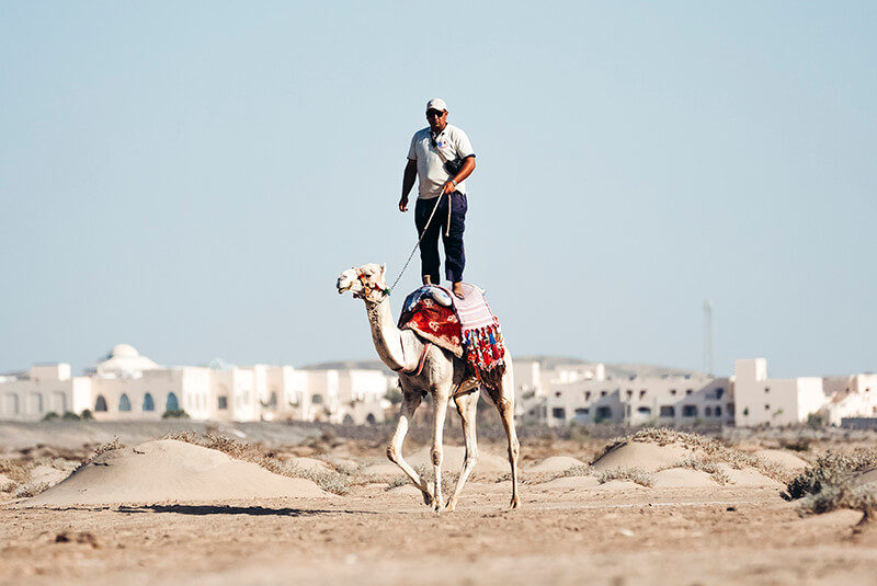 Egypt Hannah Whiteley x Jil van Dijk 04 June The Camel Shoot 11 800x535 - Pyramid Scheme