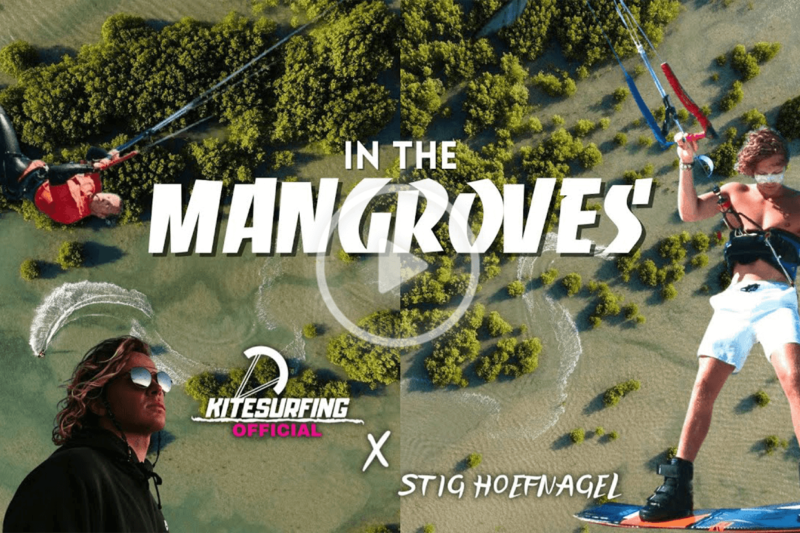 stig TKM thumbnail 2 800x533 - In the Mangroves