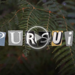pursuit 251x251 - Pursuit with Pablo Amores