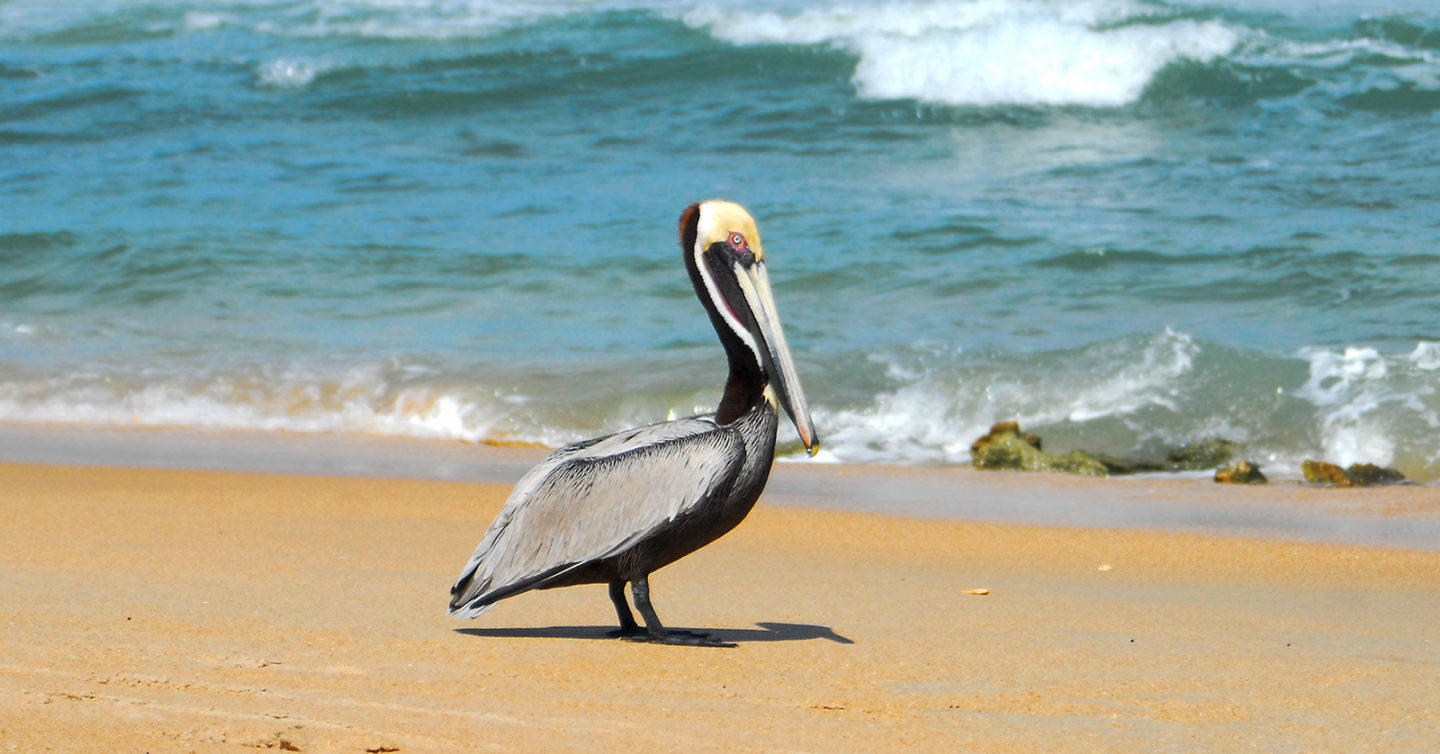 TheKiteMag 49 On the List Outer Banks 4 1440x754 - The Outer Banks