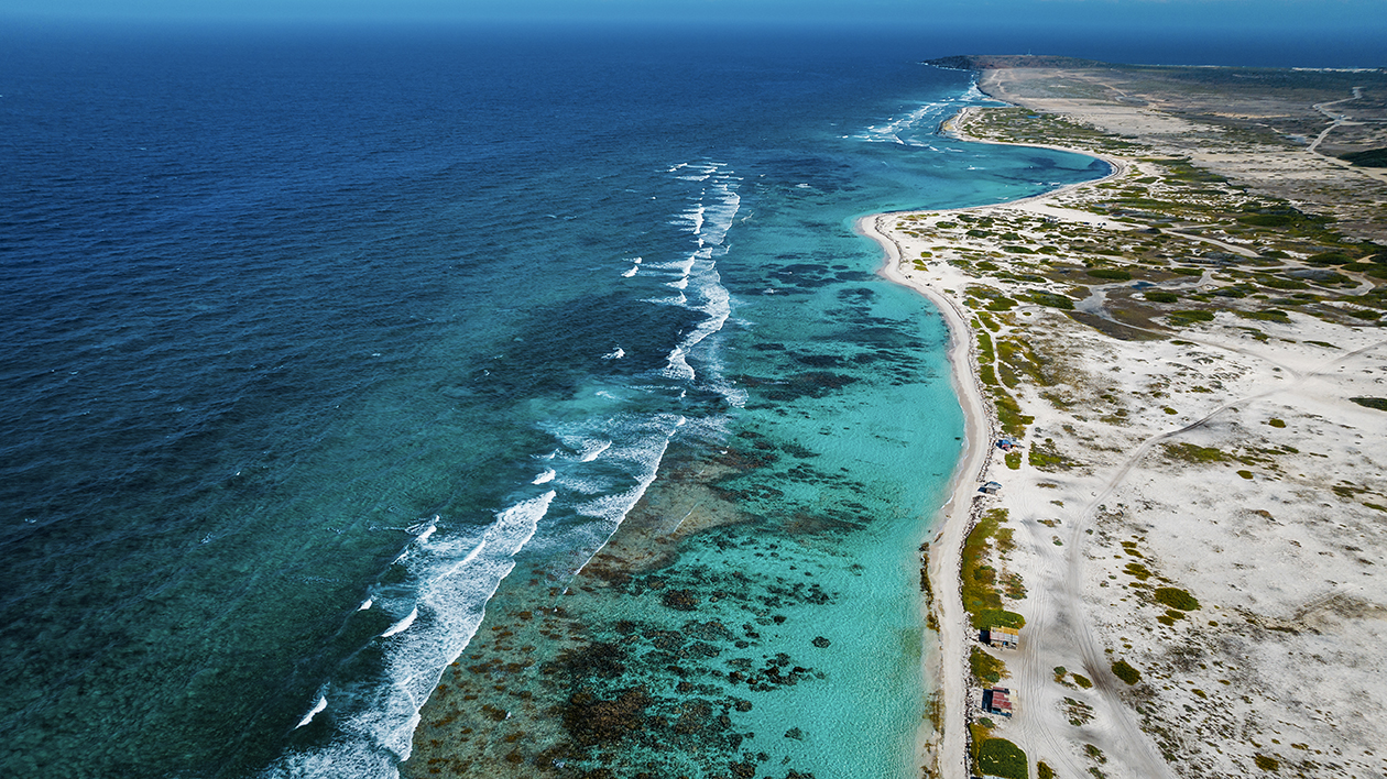 TKM54 Ariba Aruba AM 0455 - Ariba Aruba!