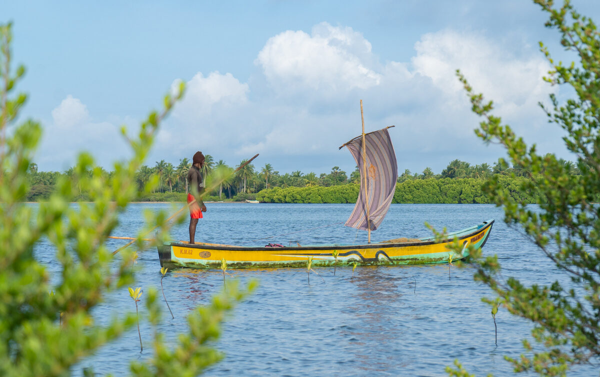 TheKiteMag Destination Guide Koddu Kalpitiya 5 1200x754 - Koddu Kalpitiya - Sri Lanka