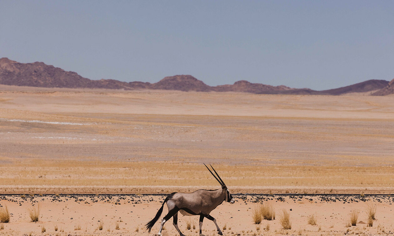 TheKiteMag 62 Gale Warning Duotone ION 1 1260x754 - Gale Warning