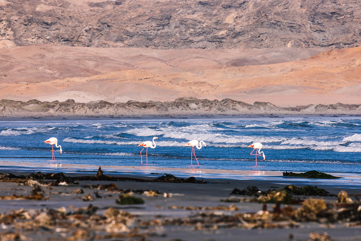 TheKiteMag 62 Gale Warning Duotone ION 2 - Gale Warning