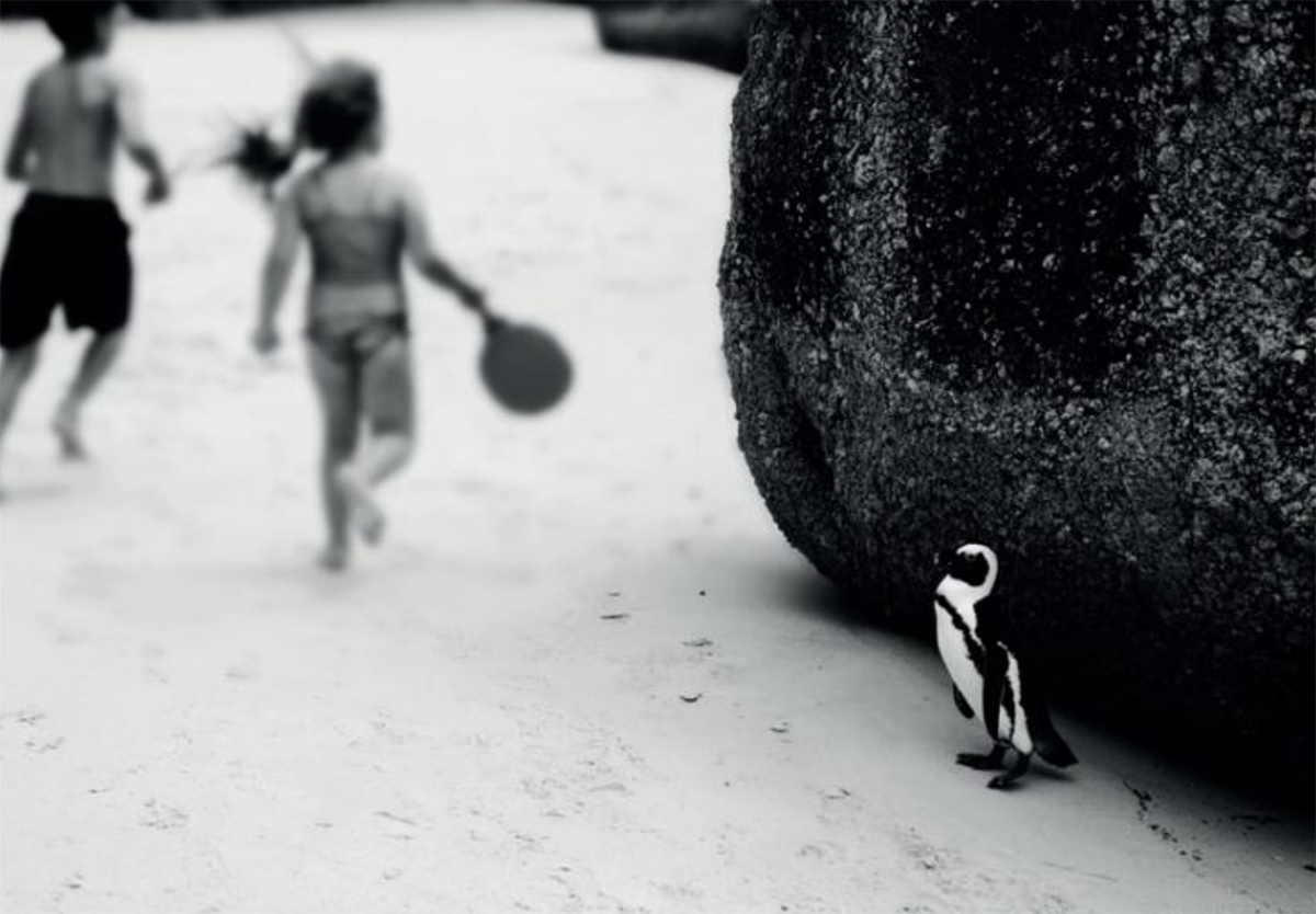 Screenshot 2025 09 09 at 11.58.17 copy - That Cape Town Thing