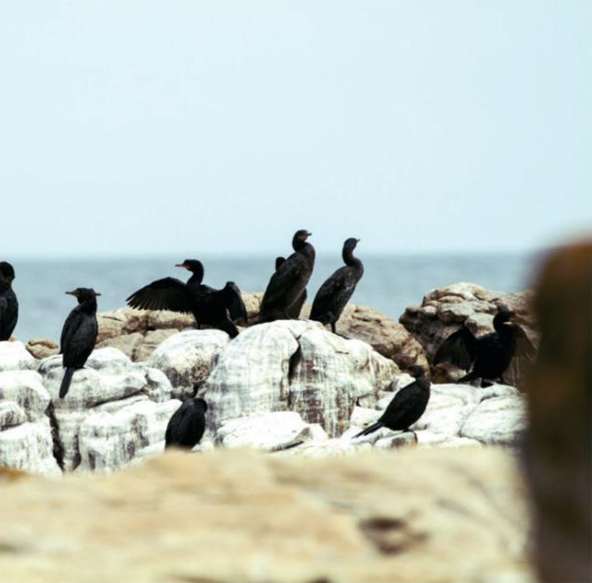 Screenshot 2025 09 09 at 12.00.17 copy - That Cape Town Thing