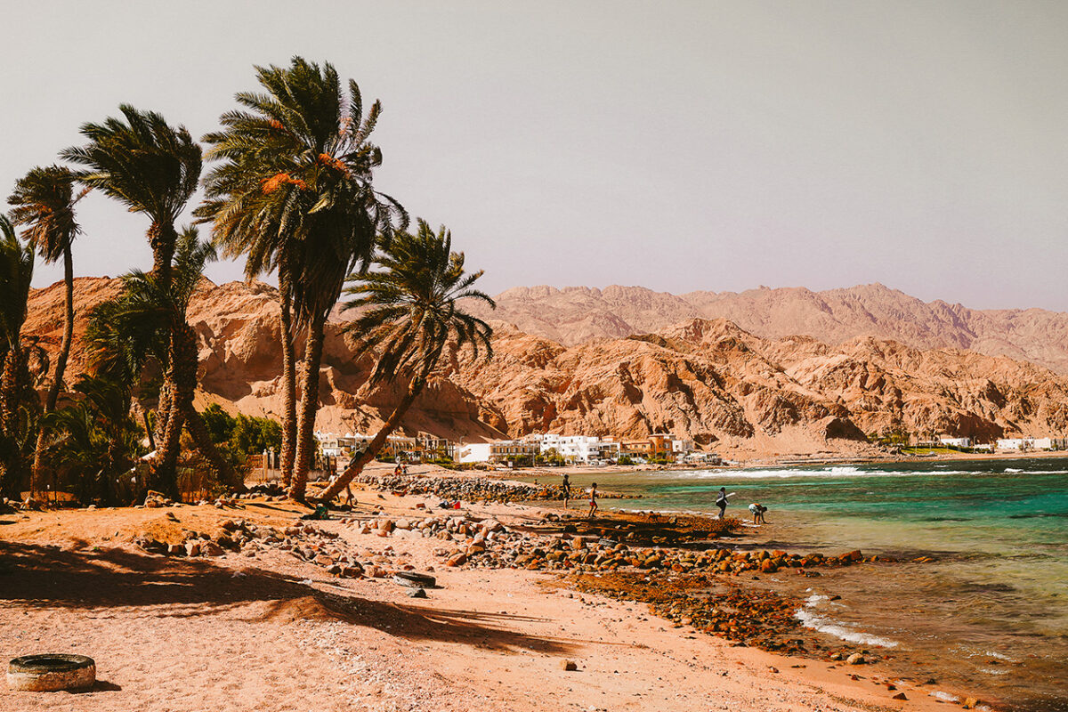 TheKiteMag63 My Beach Sarah Sadek Dahab Harlem 5 1200x800 - My Beach: Dahab, Egypt