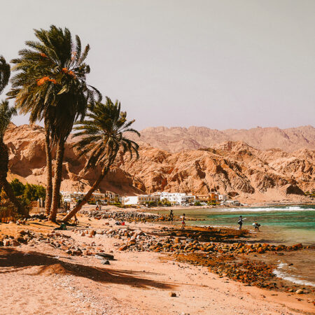 TheKiteMag63 My Beach Sarah Sadek Dahab Harlem 5 450x450 - My Beach: Dahab, Egypt